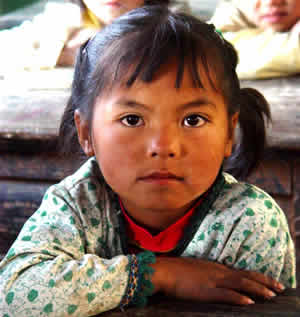 8800_5.jpg