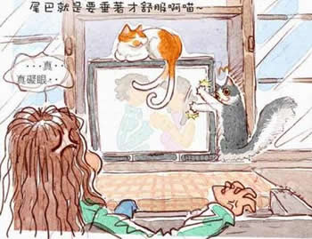 cat_8.jpg