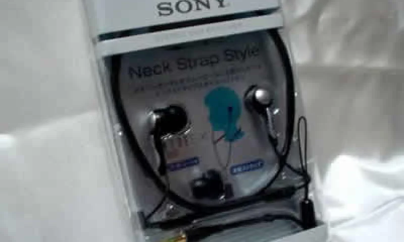 今日败进SONY MDR-NX1  