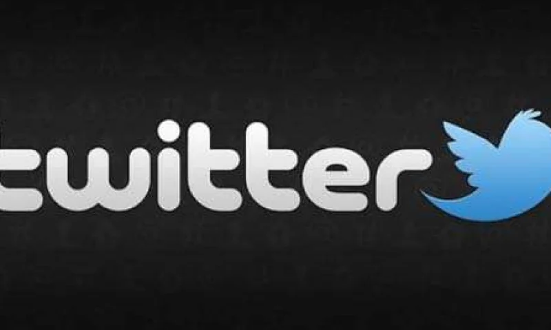 整天刷推特能发达？