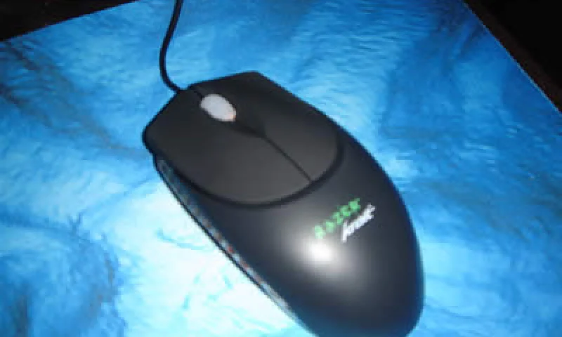 今天领养了一条小蛇