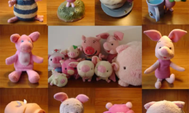 我是猪,我不是猪?  