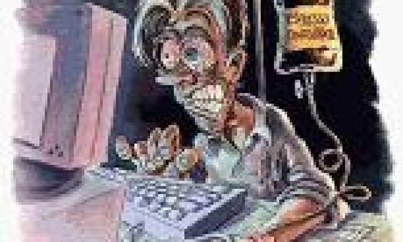 在网上，我可以做什么？