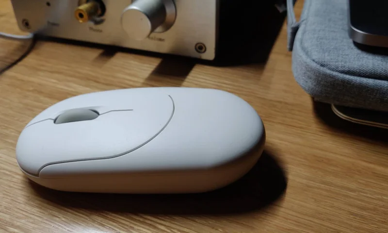 入手贱驴大板牙