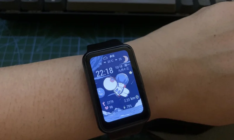 第一次购买表盘  