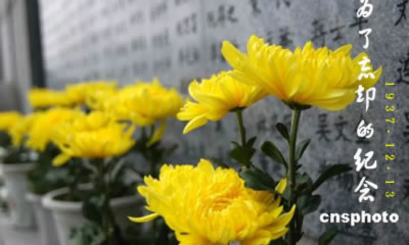 为了忘却的纪念