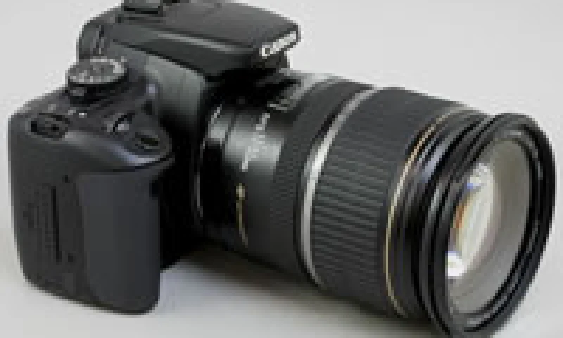 难以拒绝的诱惑