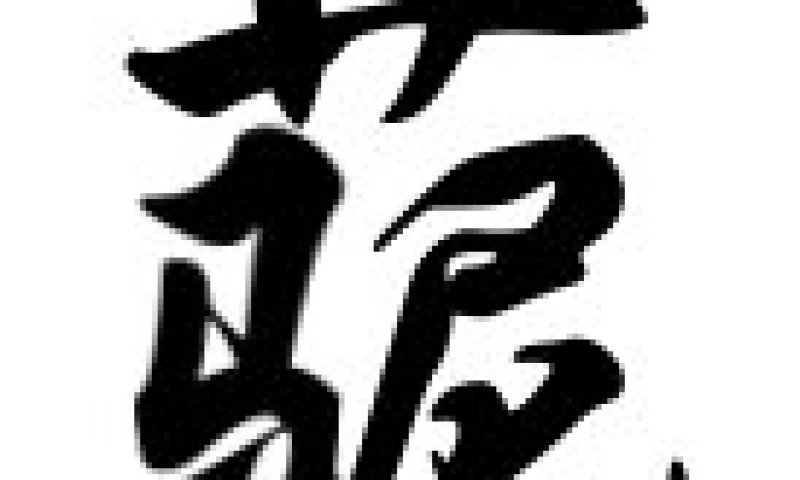 2009年中文添加了一个全新汉字