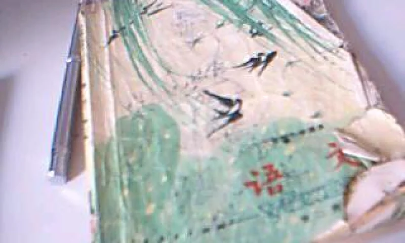 小学第二册语文课本